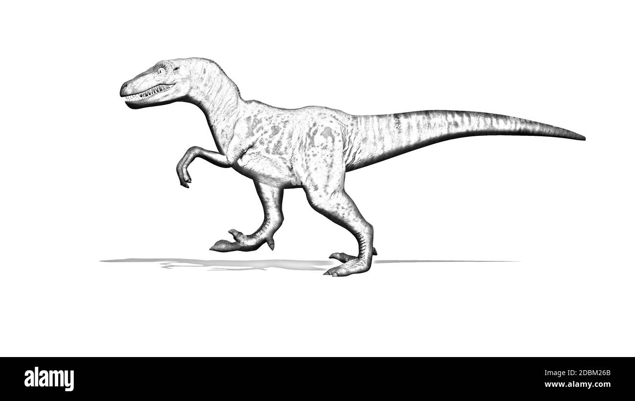 Pencil drawing - Dinosaur - Velociraptor - two-legged predator with a long stiff tail - isolated on white background Stock Photo