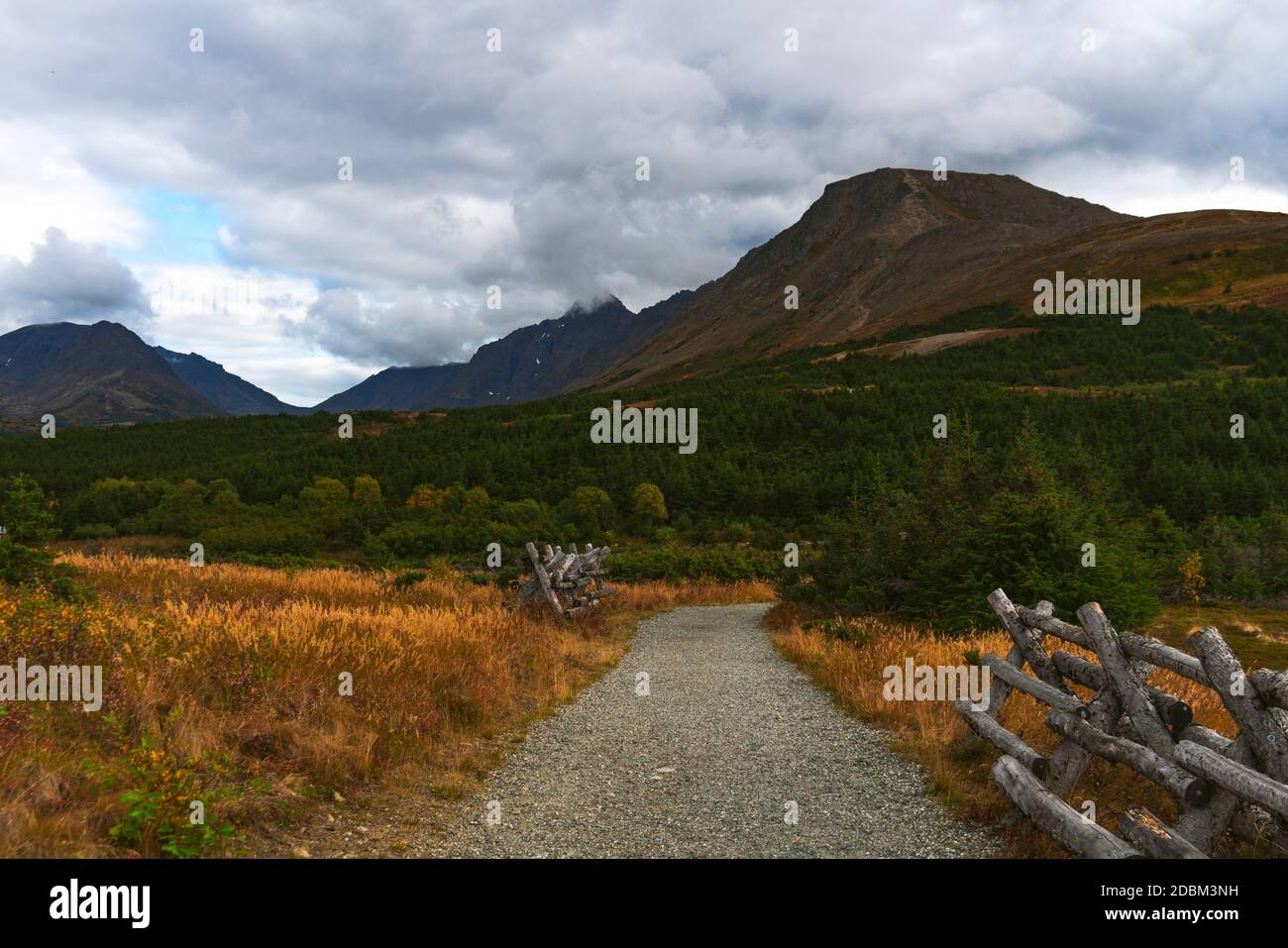 Empty gravel dirt road, Anchorage, Alaska, USA Stock Photo