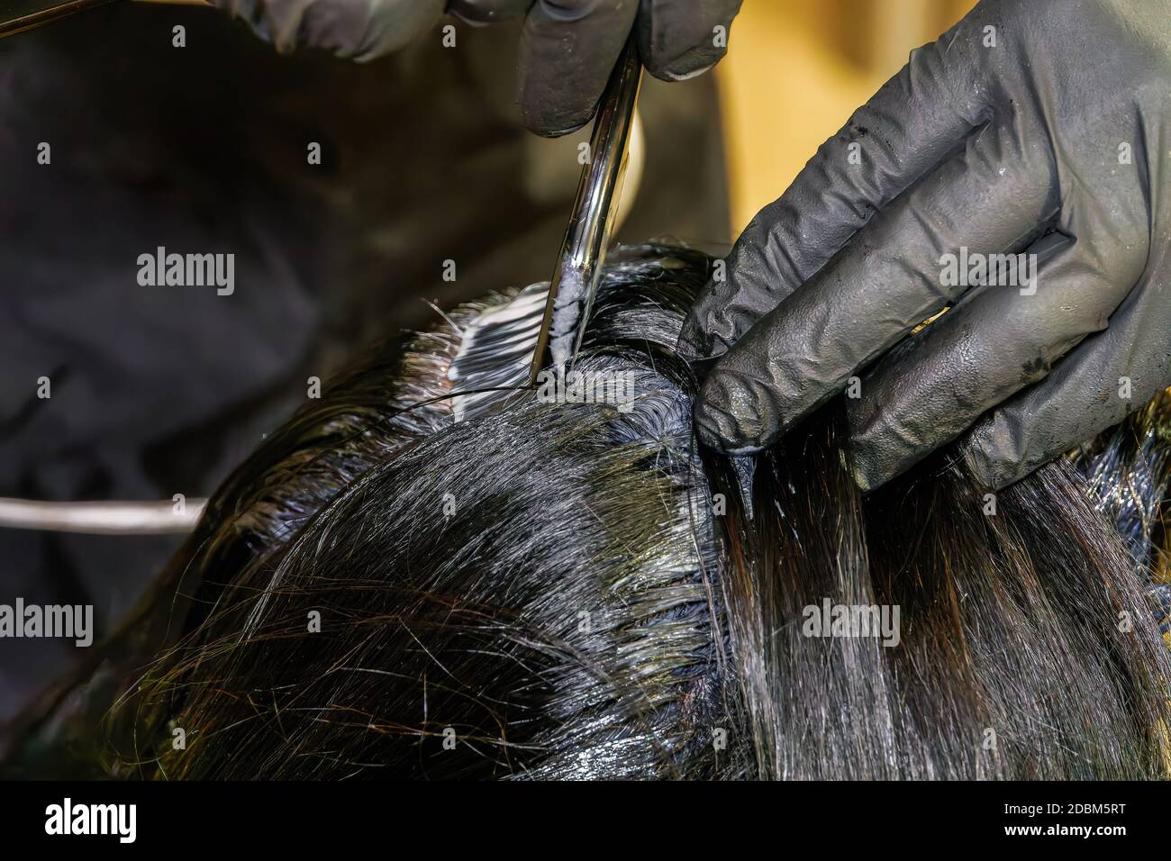 Hair dye color applied on the scalp by a hairdresser wearing black rubber  gloves. At-home hair coloring styling with a solid level of black paint mix  Stock Photo - Alamy