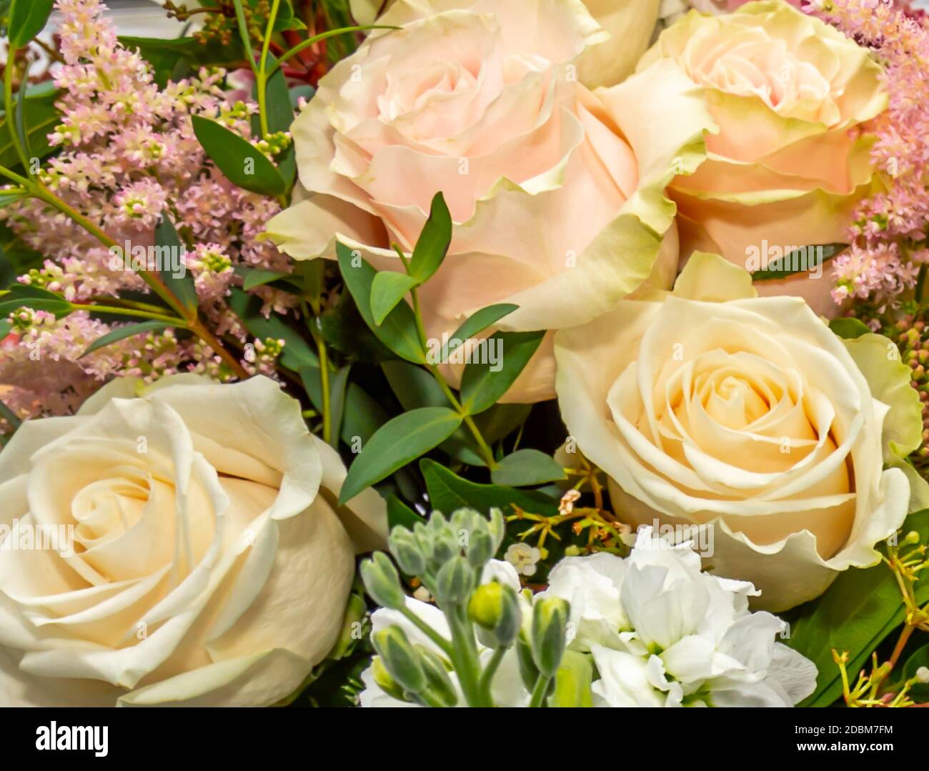 close up of a bouquet of flowers Stock Photo