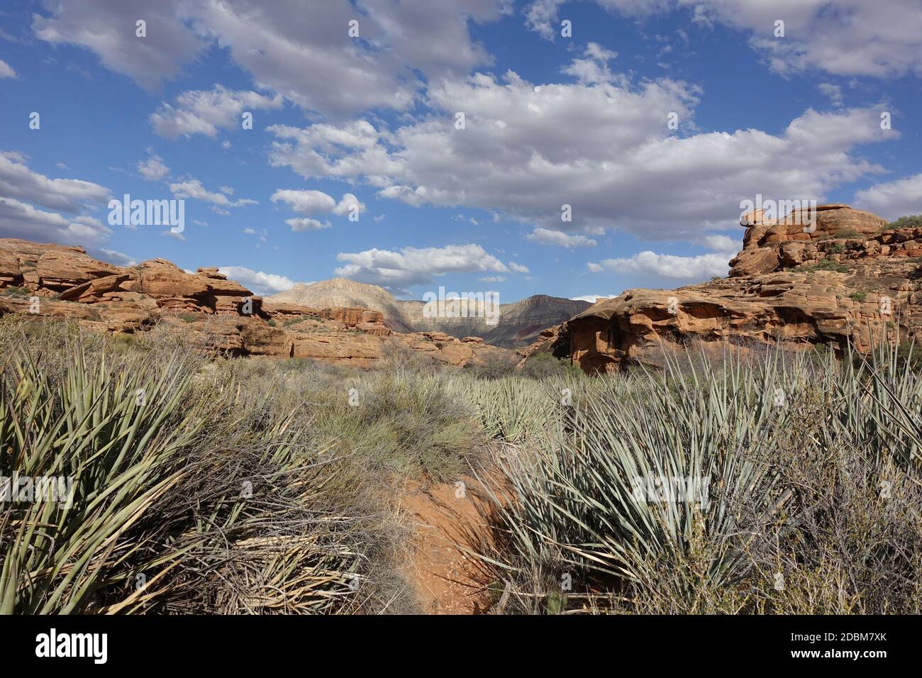 Hack Canyon portal to Grand Canyon, Arizona, USA Stock Photo - Alamy
