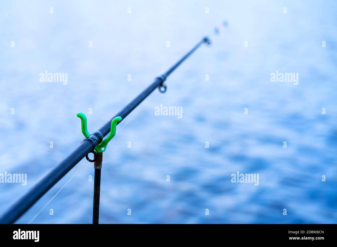 Jingle bell fish Cut Out Stock Images & Pictures - Alamy