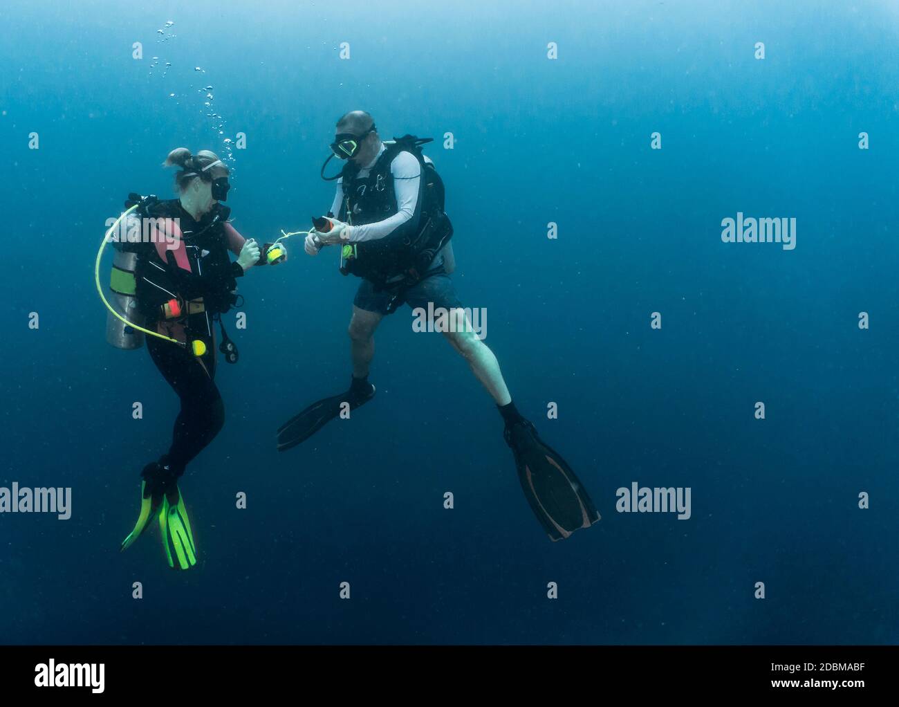 Two scuba divers in Ari Atoll, Maldives Stock Photo Alamy
