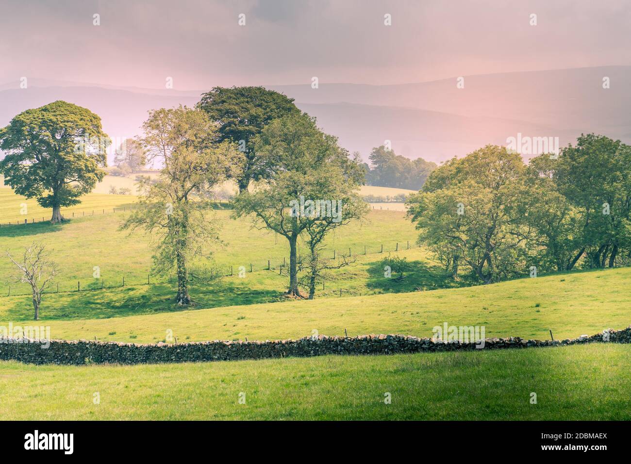 Spacious Field A Scenic Countryside View of a Spacious Open Grassland Field and a Blue ...