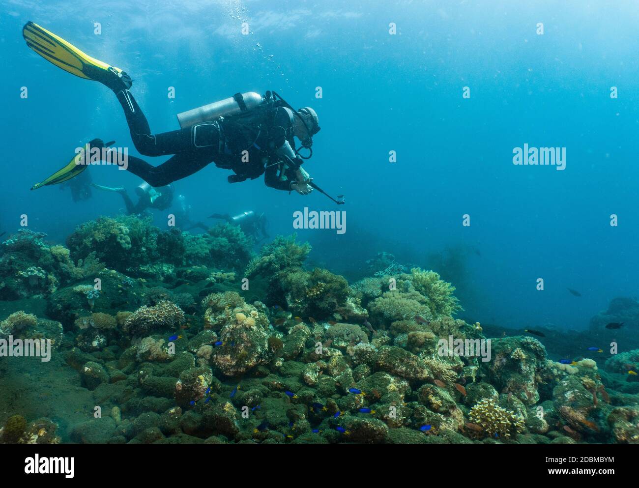 Scuba diver filming with compact video camera around Komodo Island in