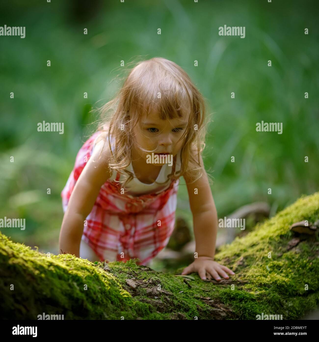 Little girl in the dark green forest Stock Photo - Alamy