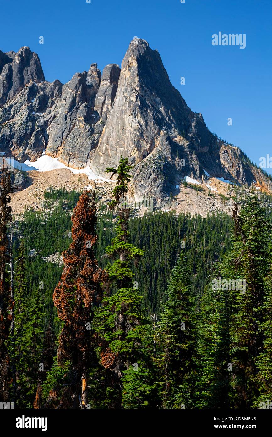 WA18163-00...WASHINGTON - View of Libery Bell and the Early Winters Spires from the Washington Pass Overlook on the North Cascades Scenic Byway. Stock Photo