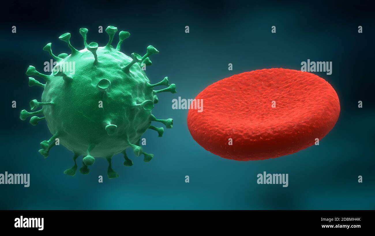 Blood cells and virus on blue background Stock Photo - Alamy