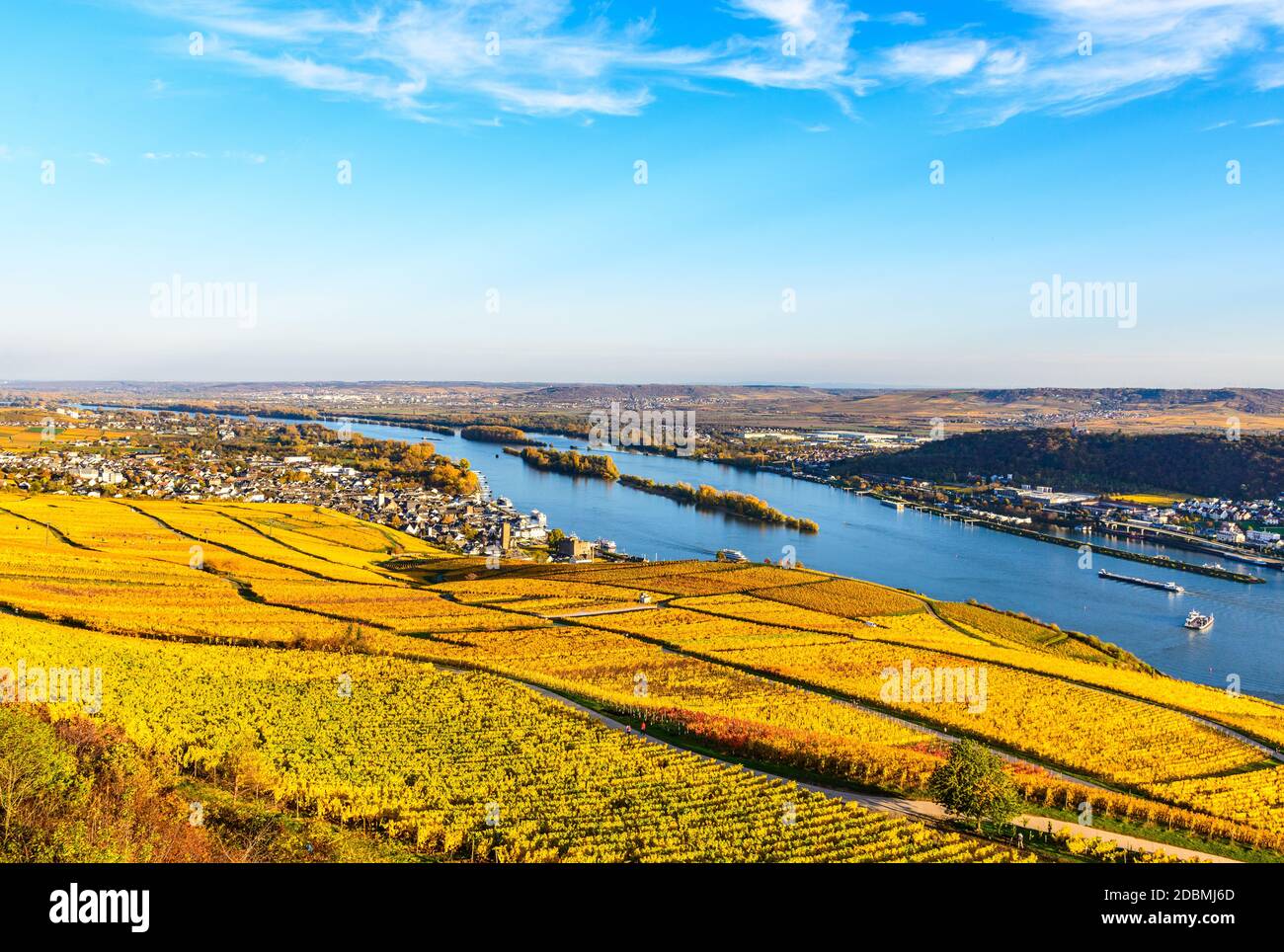 Rudesheim am Rhein in upper middle Rhine river valley (Mittelrhein), colorful vineyards,   yellow autumn, blue sky. Panorama view. Hesse, Germany Stock Photo