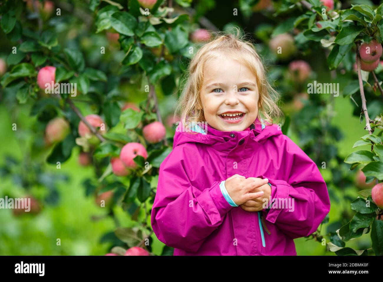 Little girl staying under apple tree in the garden Stock Photo - Alamy