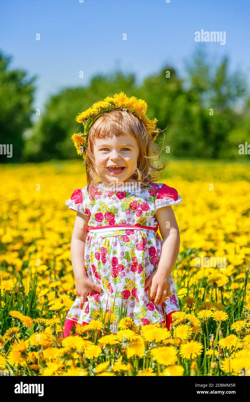 Little girl on the blooming dandelions field Stock Photo - Alamy