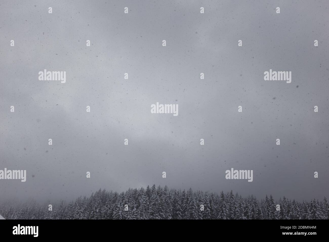 Whiteout landscape in winter, Selva Gardena, Dolomites, Italy Stock Photo