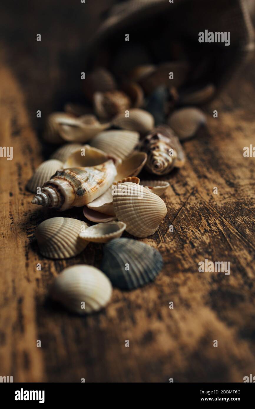 Macro photo. Sea shells are poured out of the bag. Rustic wooden ...