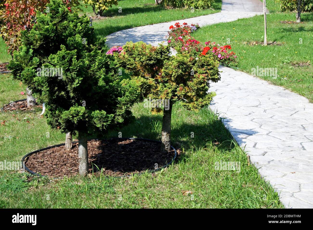 Shot alley in garden hi-res stock photography and images - Alamy
