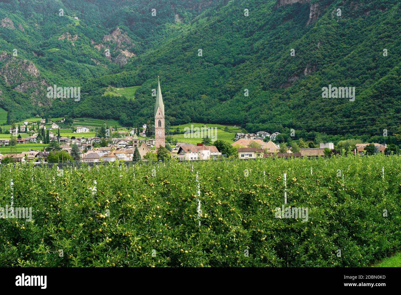 Landscape along the cycleway of the Adige river from Bolzano to Merano ...