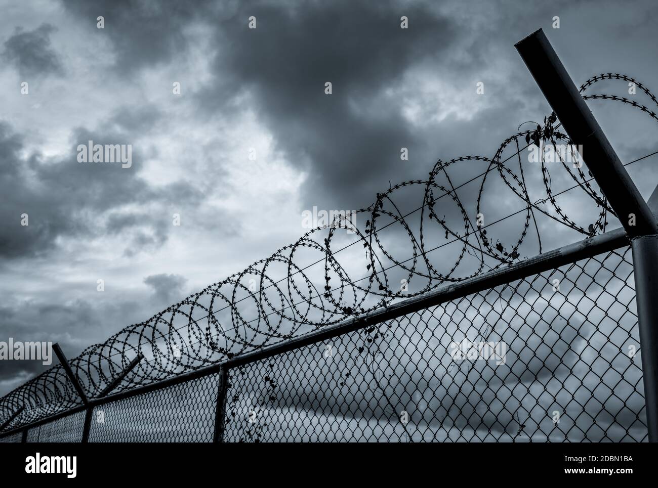 Prison security fence. Barbed wire security fence. Razor wire jail