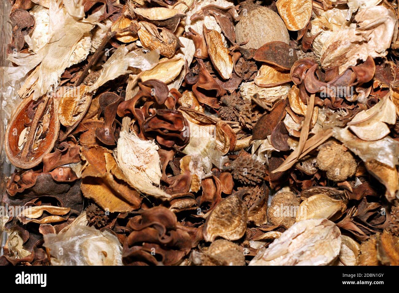 Aromatherapy potpourri dried plants and flowers background Stock Photo