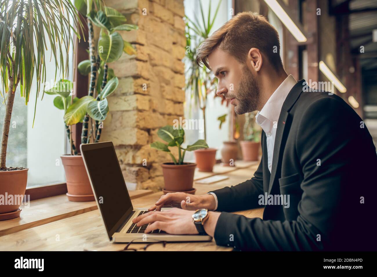 Young businessman working on the laptop in a cafe and looking concentrated Stock Photo