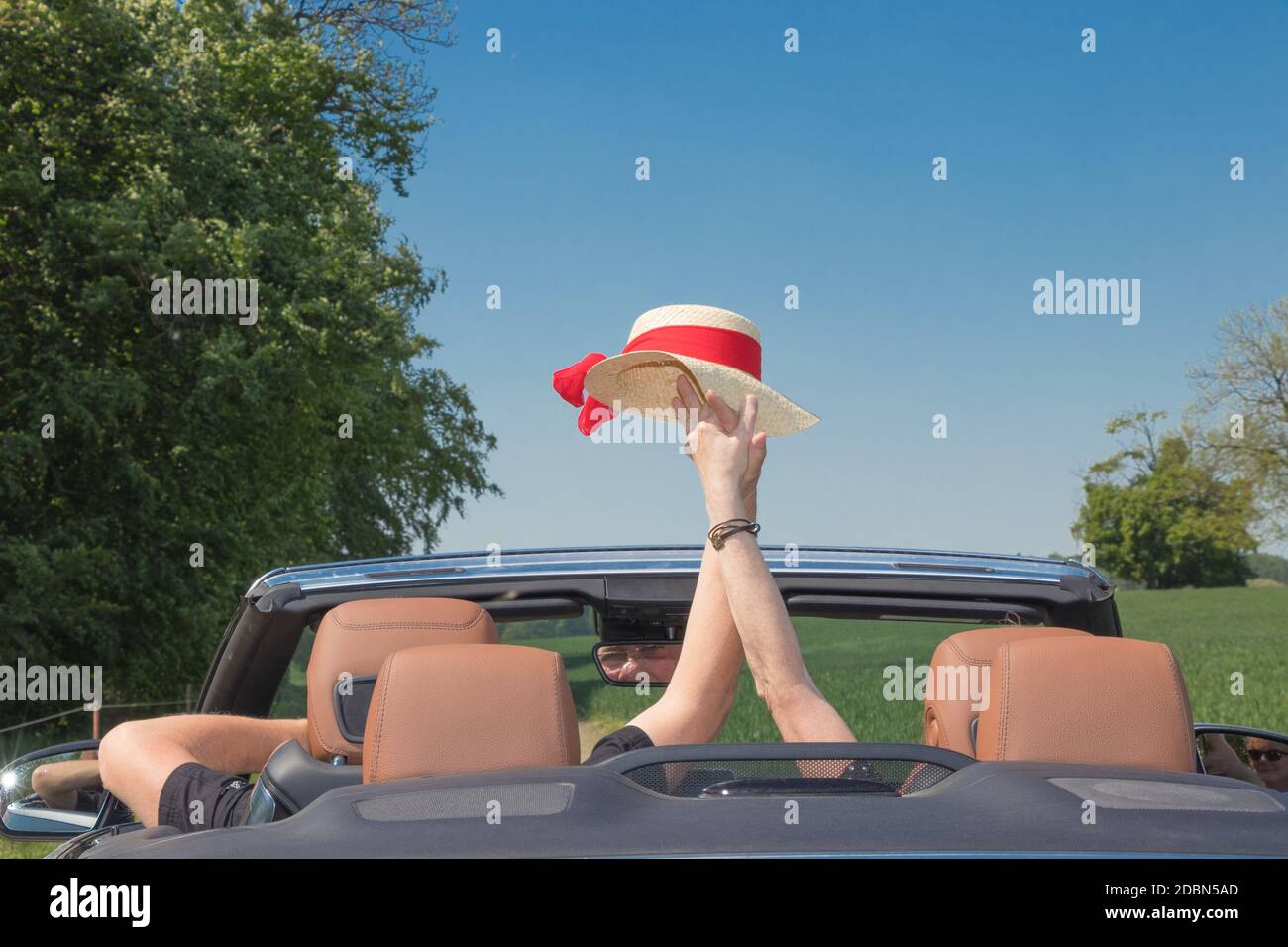 Happy senior couple in the car Stock Photo