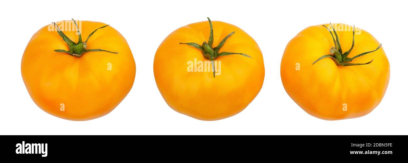 yellow tomato path isolated on white Stock Photo