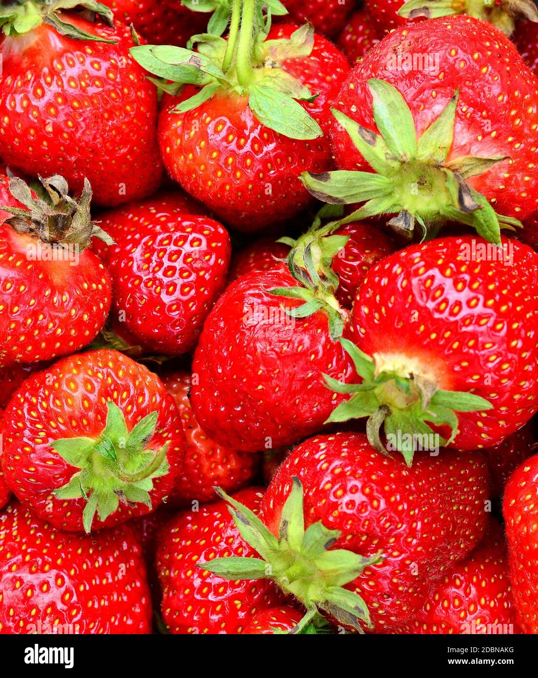 Full frame background with juicy fresh whole strawberries with green ...