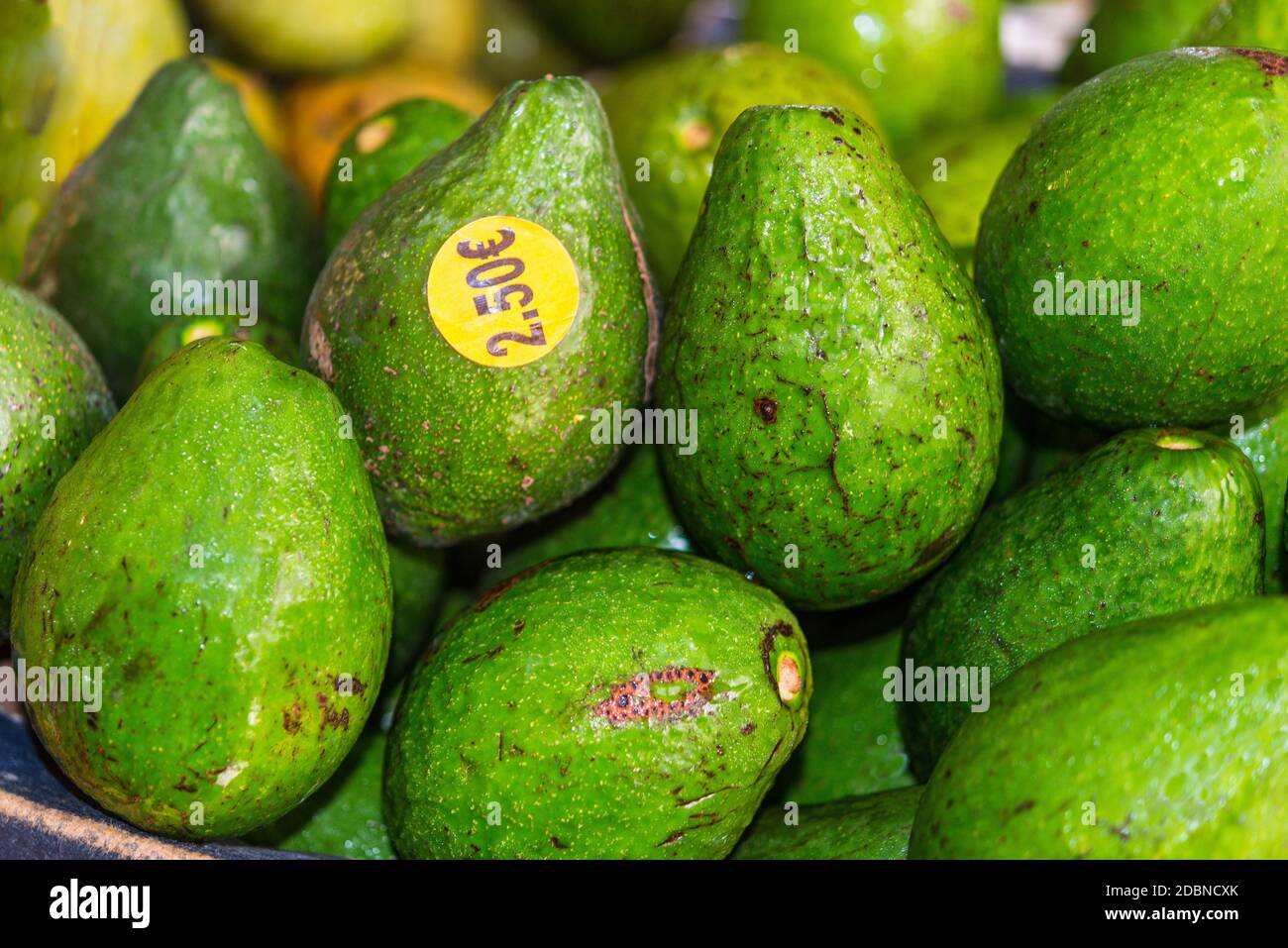 Avocados on sale (with price) in the fruit and vegetable market at Fort-de-France, Martinique, France Stock Photo