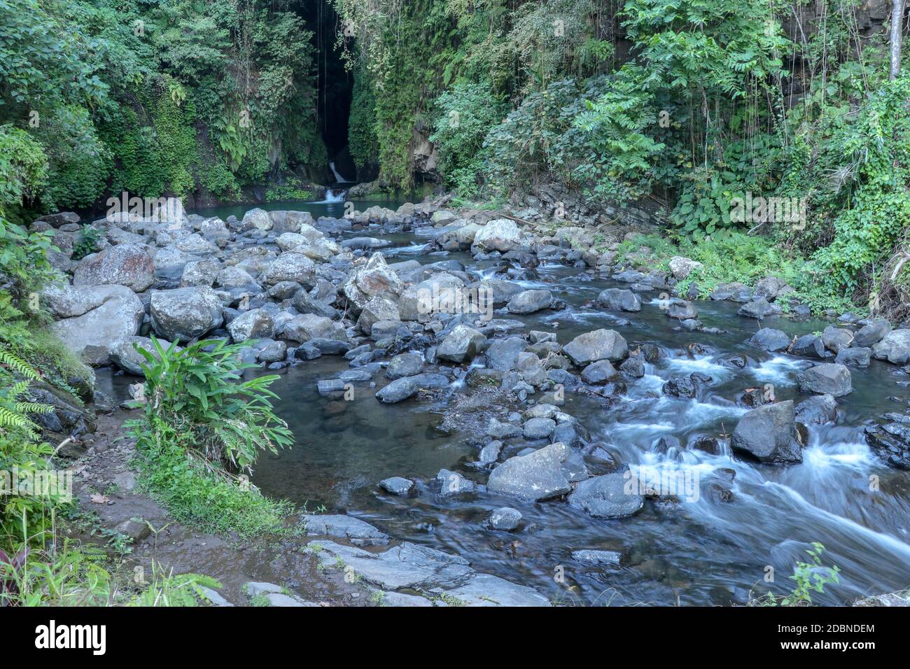 Mountain river bed with many boulders rising above the surface. Wild tropical jungle lining a river bed. Natural place. Stock Photo