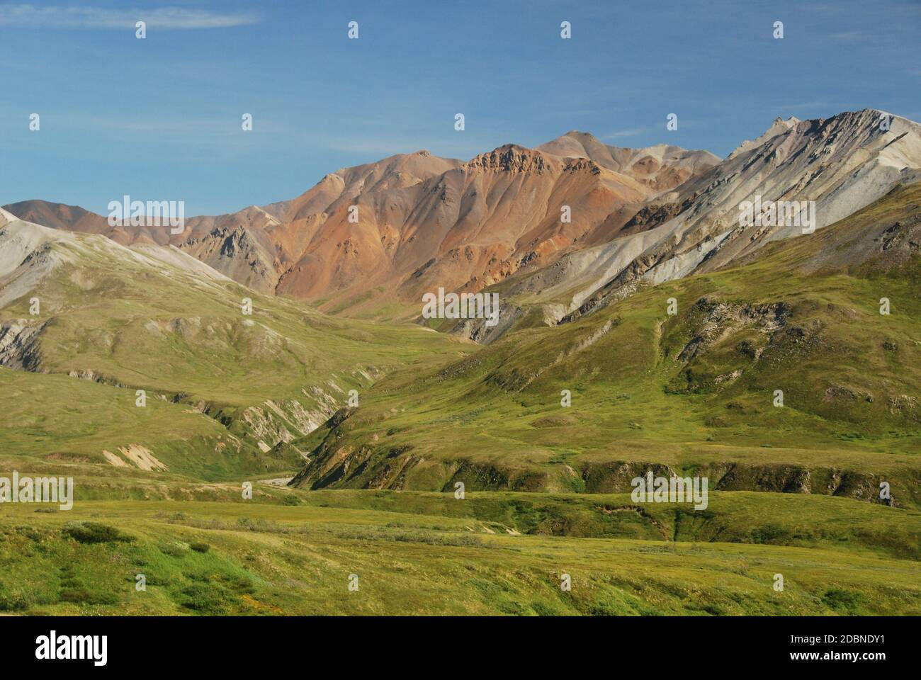 Painted Rocks, Denali National Park, Alaska Stock Photo