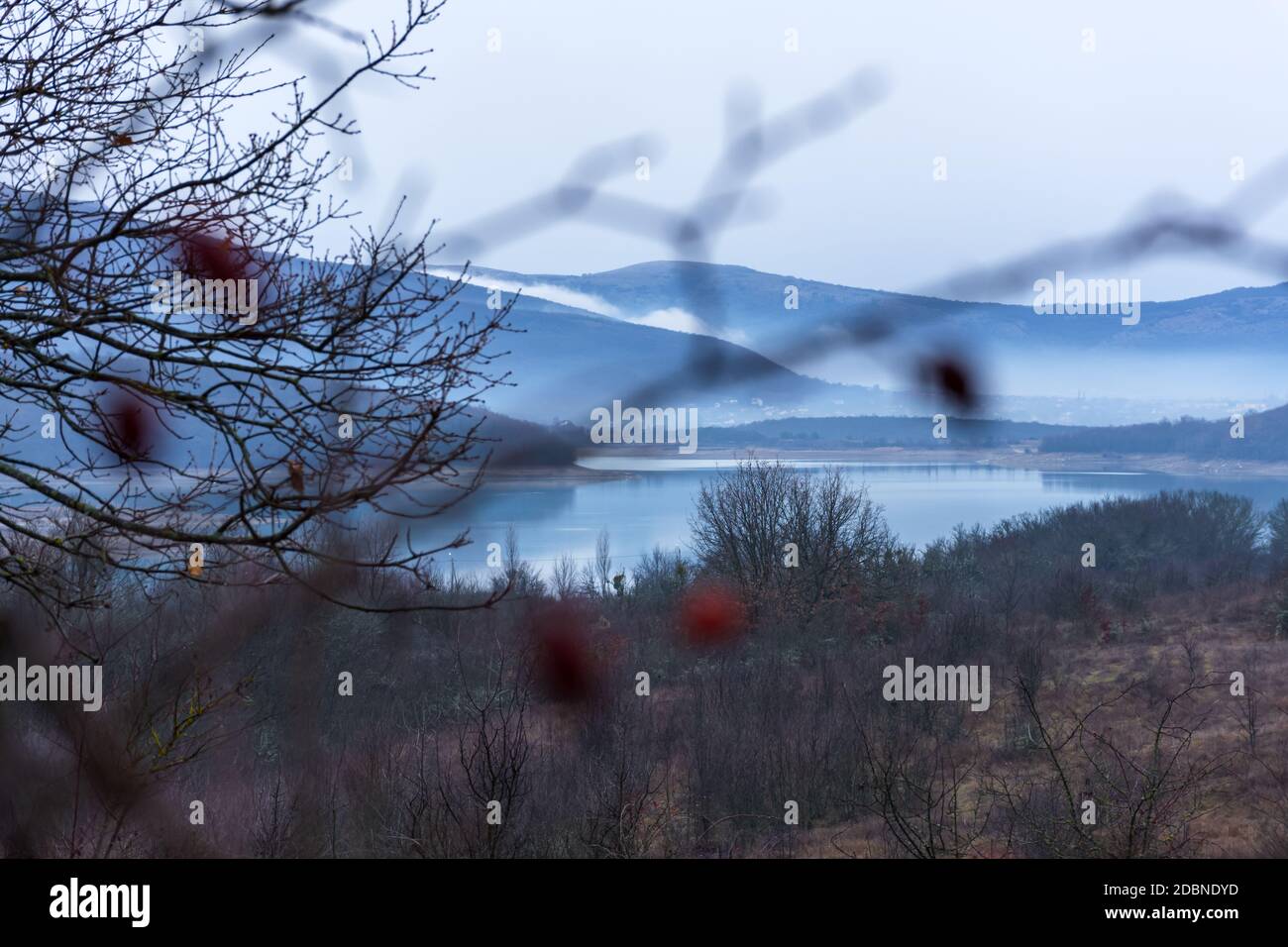 Autumn landscape with a leafless forest and lake. Background using the fuzzy berries of wild rose. Mystical cool winter landscape. Concept of late aut Stock Photo