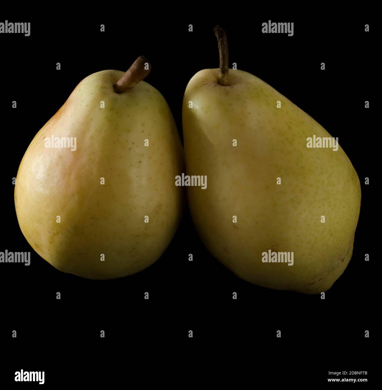 two ripe, juicy pears, on a black background Stock Photo