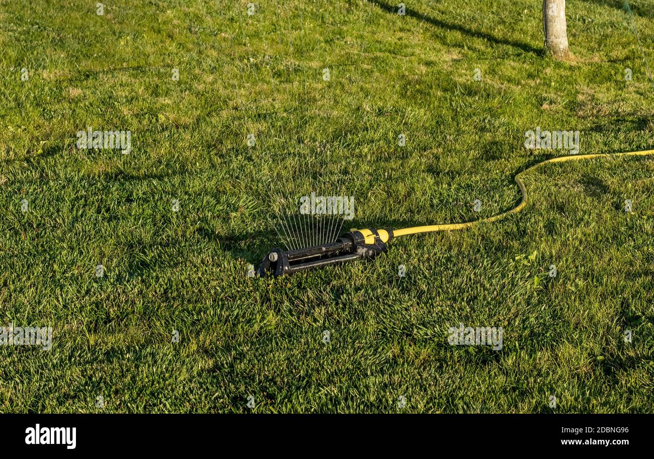 Portable, water efficient an oscillating sprinkler with metal arm sprays out a fan of water to the grass area in public streets. Watering lawn in city Stock Photo
