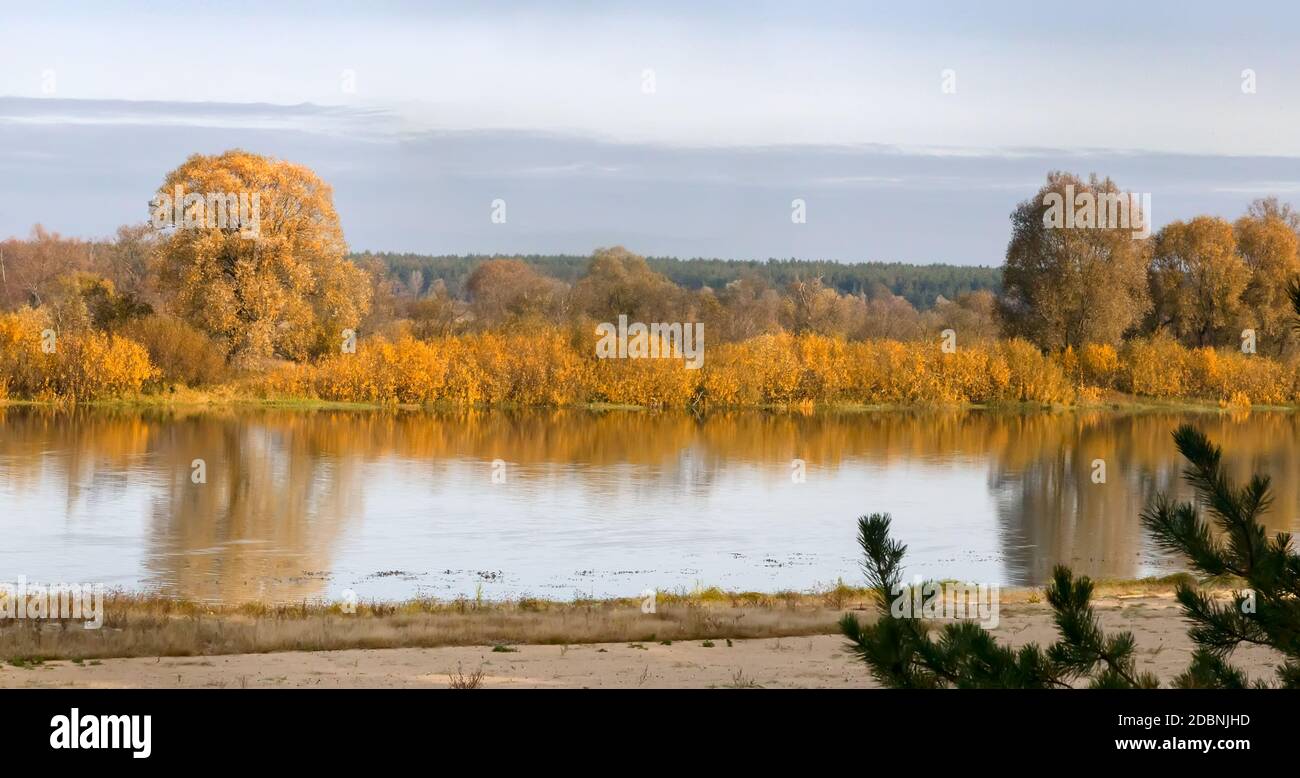 Autumn landscape : a small calm river, on the Bank of which trees and ...