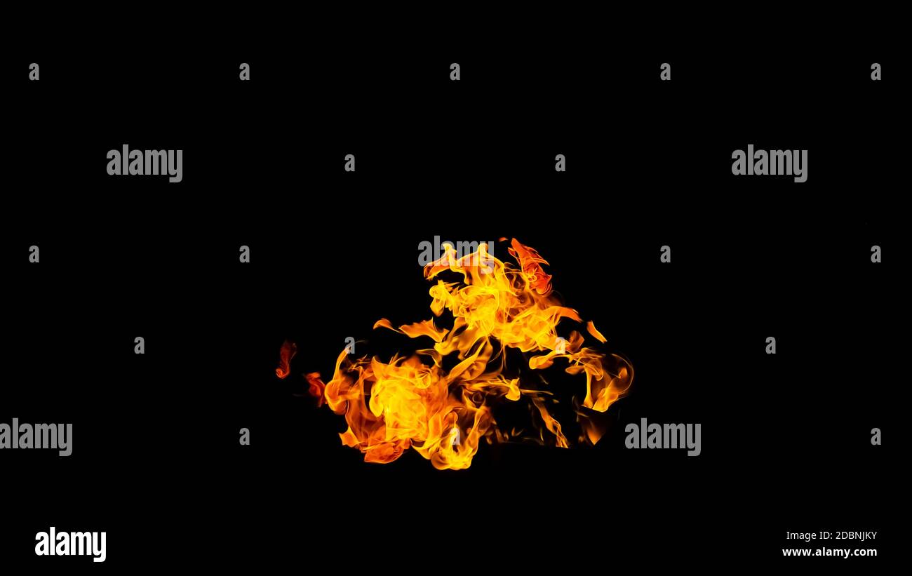 Fire flames on black background isolated. Burning gas or gasoline burns ...