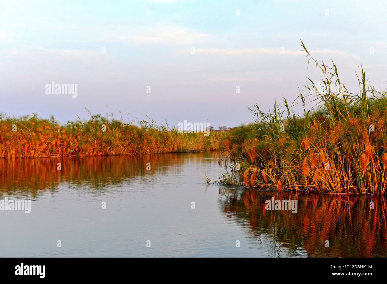River trip on the Kwando River in the Caprivi region, Namibia Stock Photo