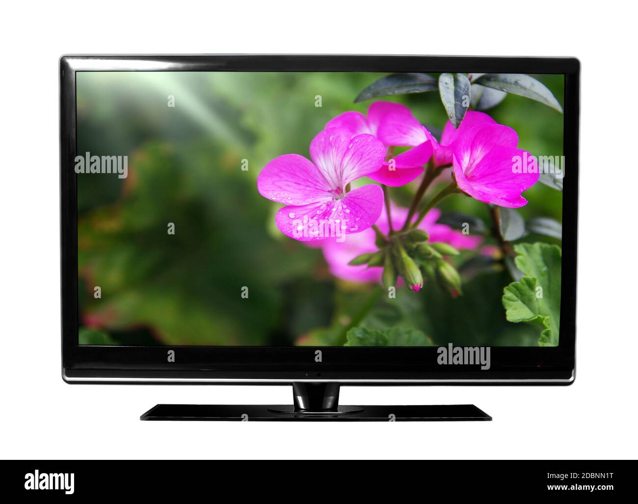 big tv with flowers Stock Photo - Alamy