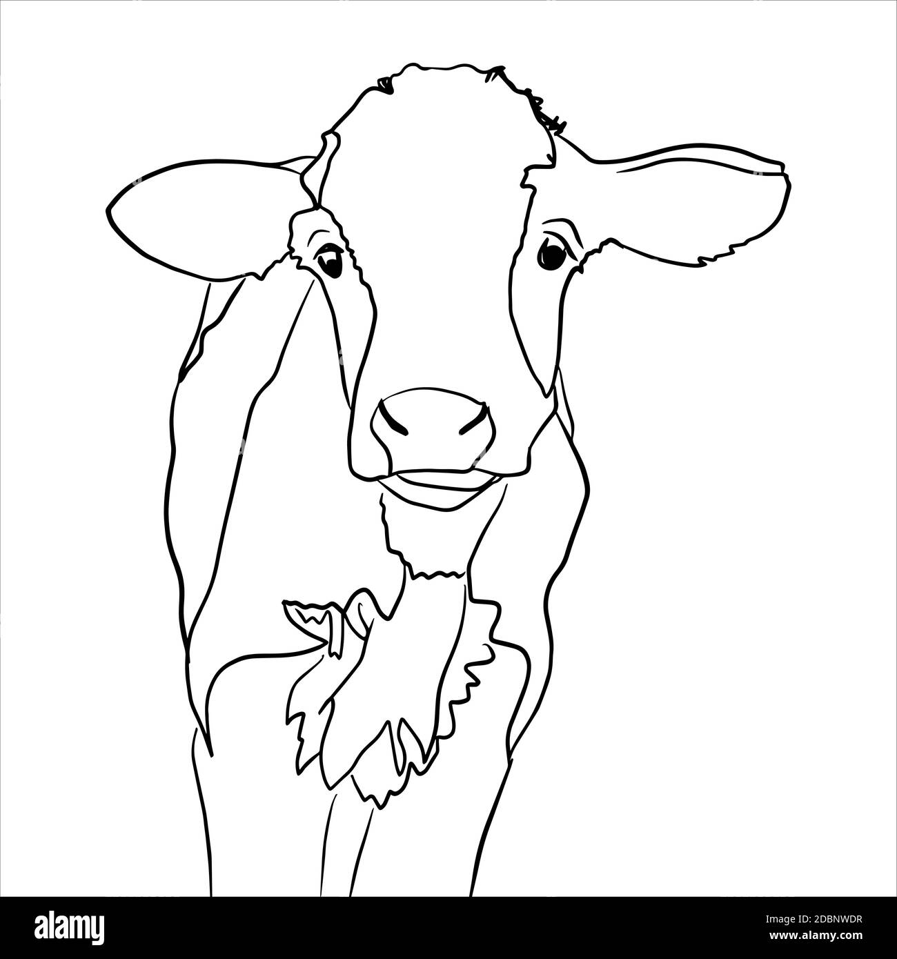 Outline sketch of cow in doodle style Stock Vector Image & Art - Alamy