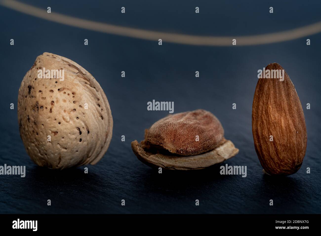 Close-up of three isolated almonds : one in its shell, one with open shell, one without shell. nuts are standing up on a slate table with dark backgro Stock Photo