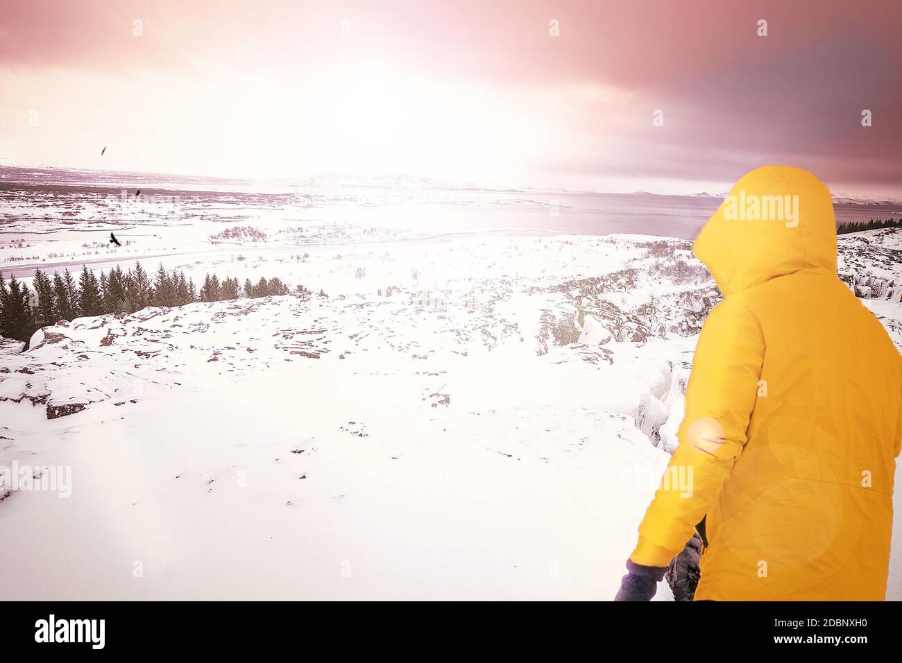 departure man runs towards the freedom of the sun in the icelandic mountain landscape whit snow and sunset Stock Photo