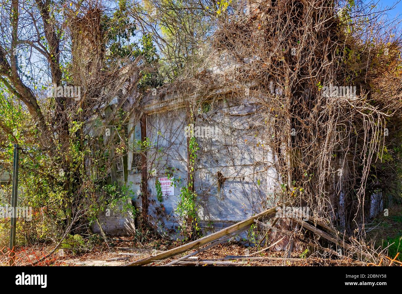 Vines grow across Bryant’s Grocery, a Civil Rights site connected to