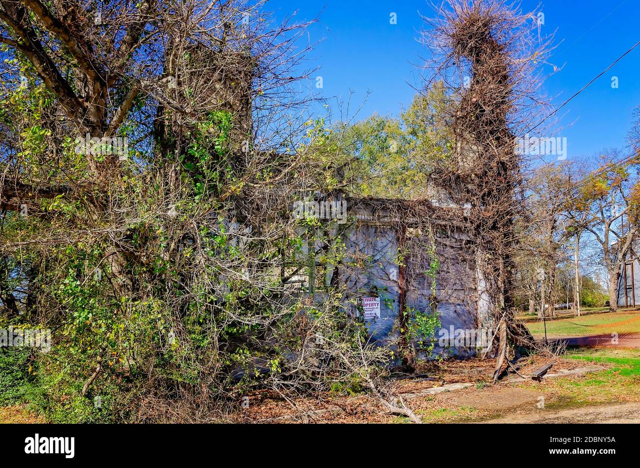 Vines grow across Bryant’s Grocery, a Civil Rights site connected to