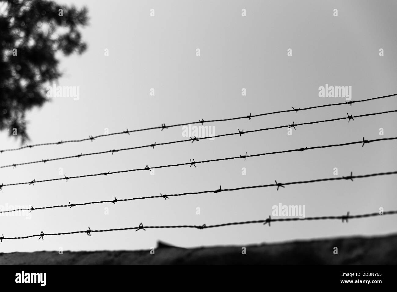 A wall with an old barbed wire line to prevent theft. Stock Photo