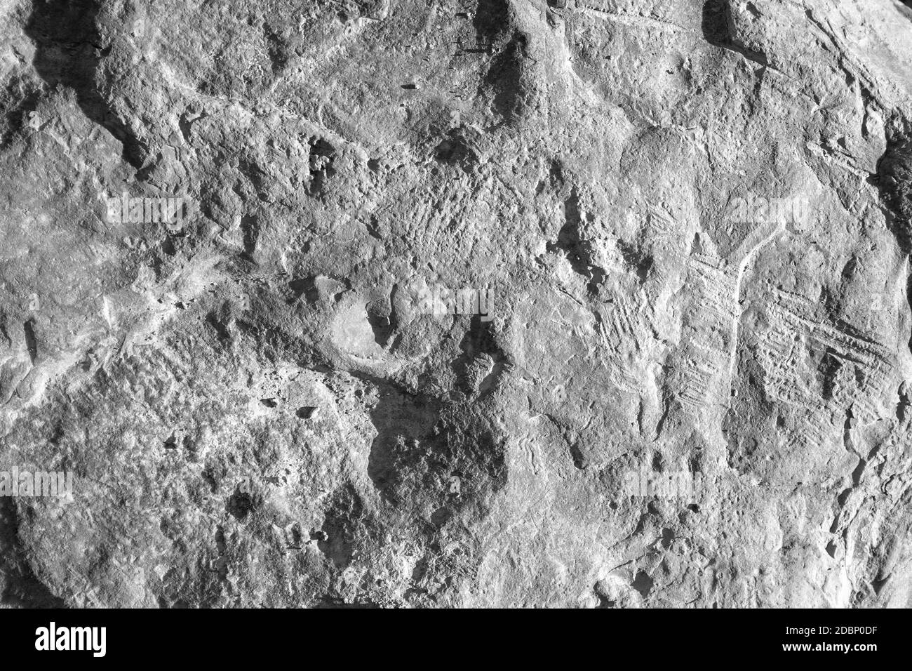Stone texture closeup. Old aged stone surface on sun background Stock