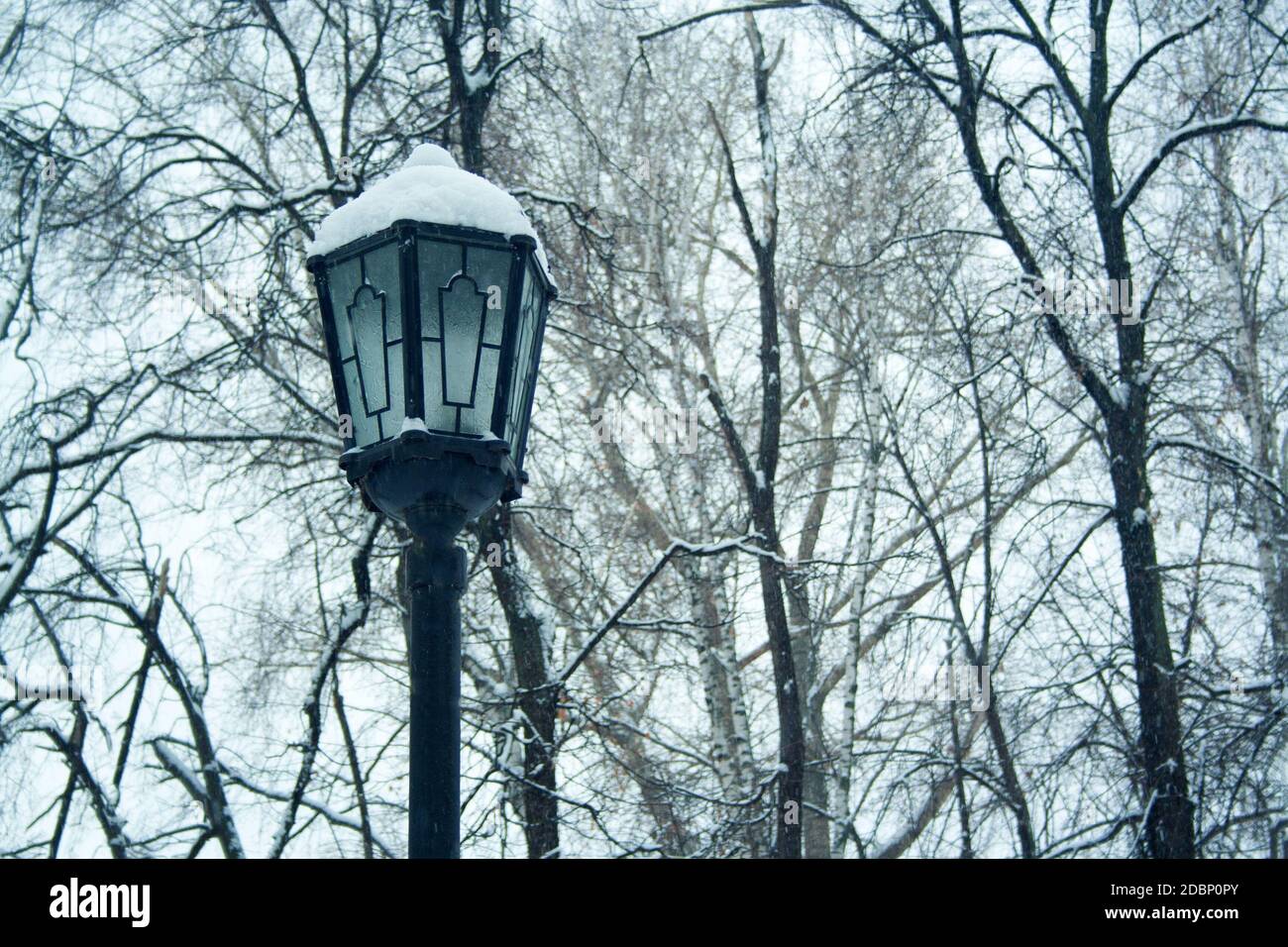 Decorative street lamp post trees in hi-res stock photography and ...