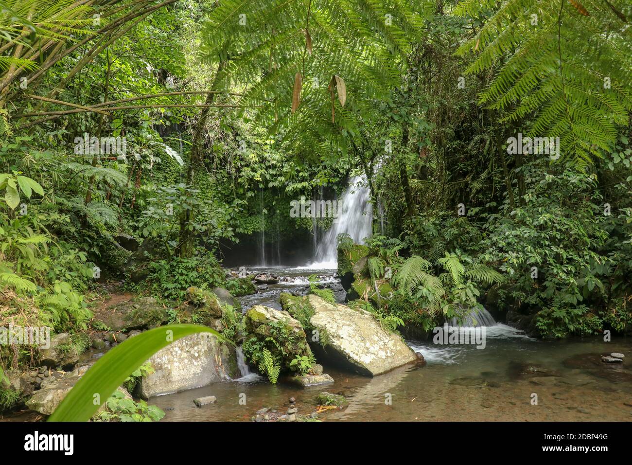 Water Flow Through Stones In Yeh Ho River in tropical jungle. Beautiful waterfall is located in the lush rice field-laden Penebel village in Tabanan n Stock Photo