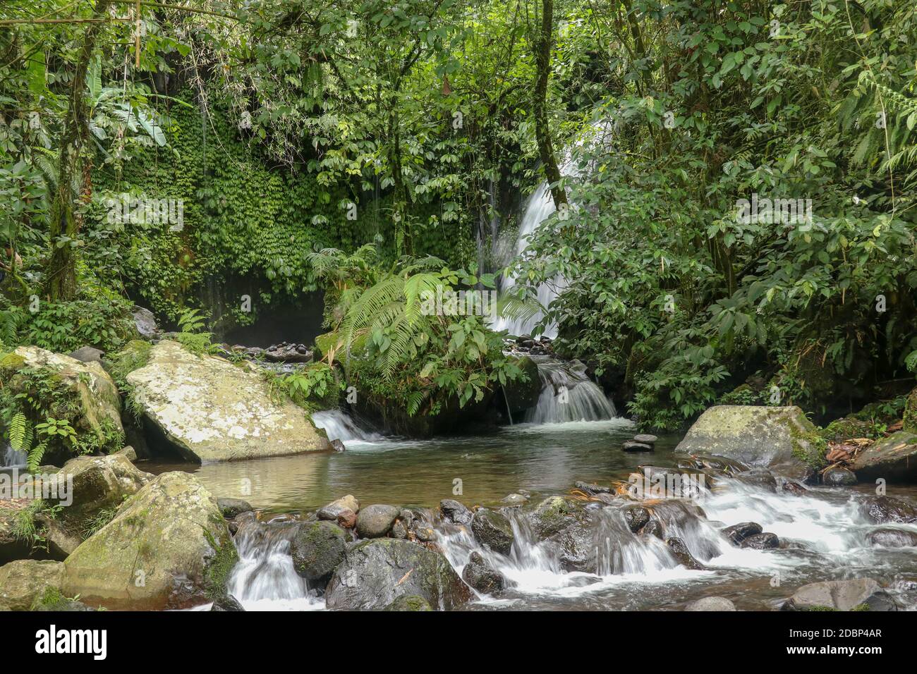 Water Flow Through Stones In Yeh Ho River in tropical jungle. Beautiful waterfall is located in the lush rice field-laden Penebel village in Tabanan n Stock Photo