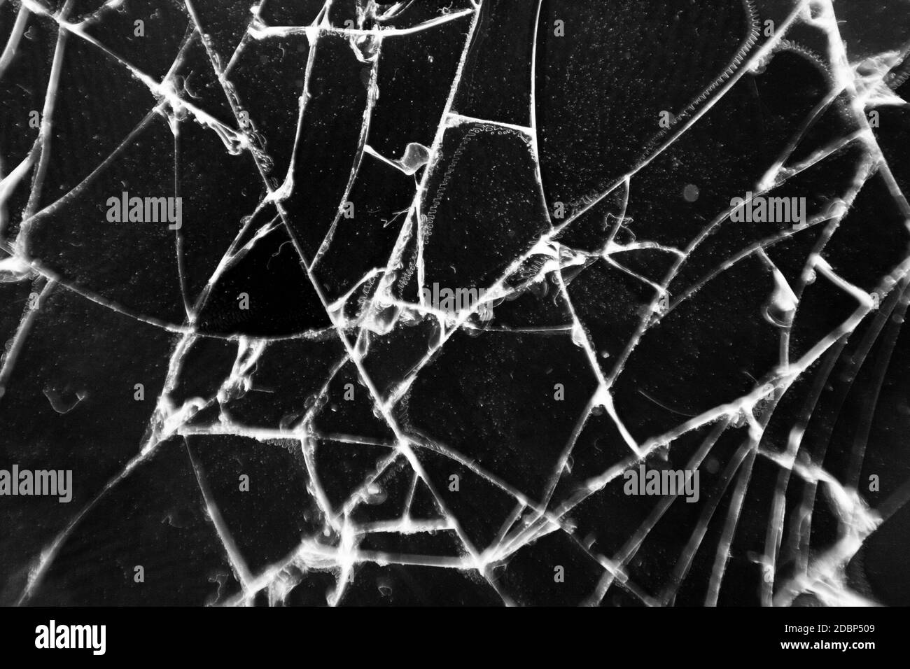 Broken glass texture. Abstract of cracked phone screen. Smartphone broken cracked glass texture of display screen. Abstract background Stock Photo
