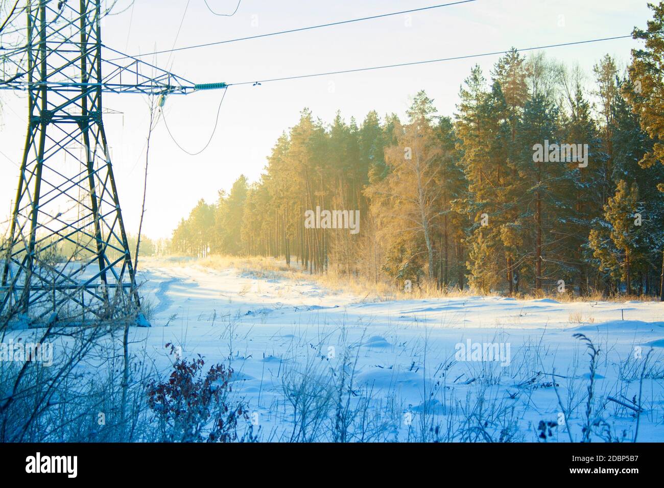 power lines pass through a winter forest with snowdrifts in the early ...