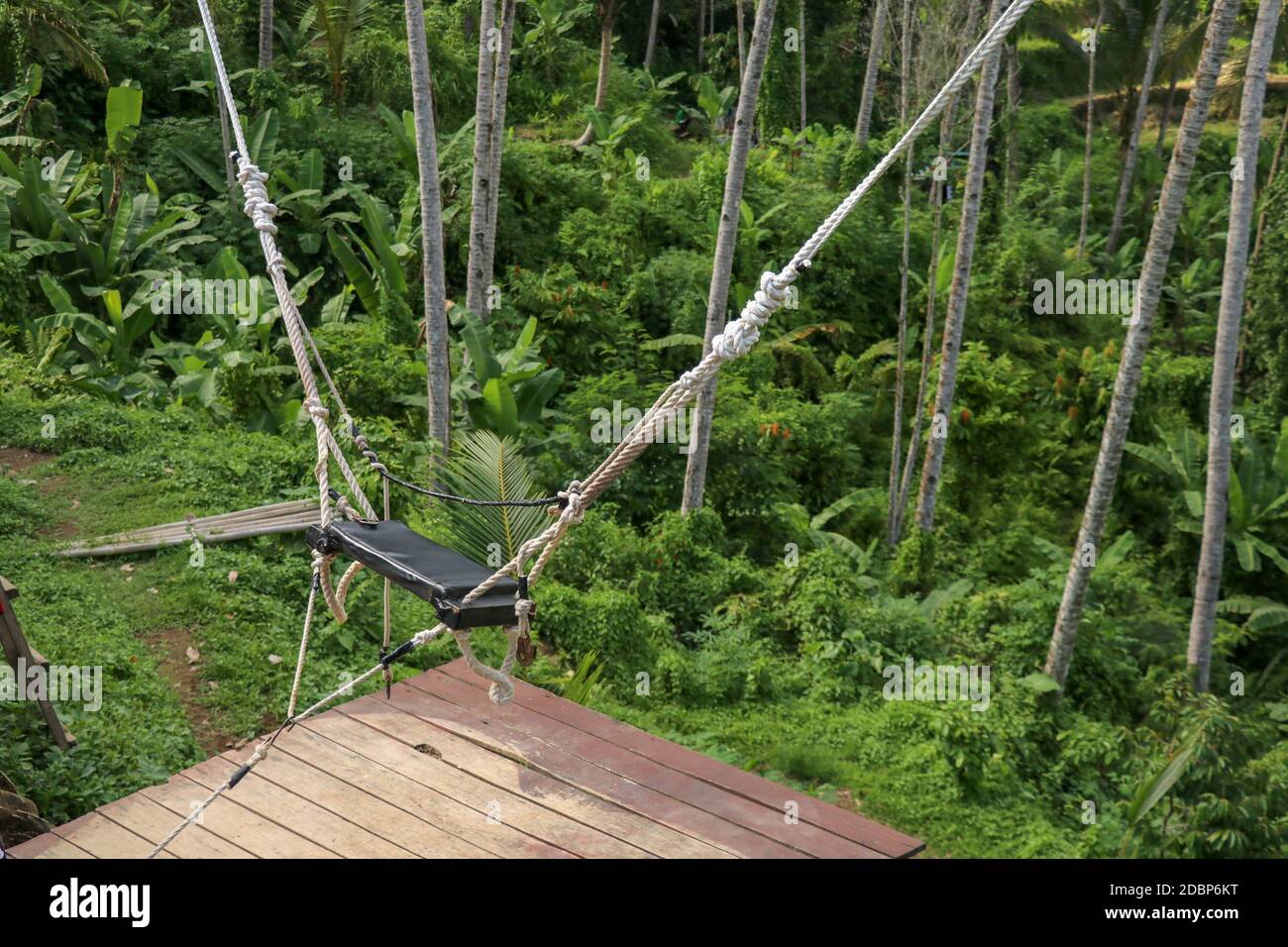 A swing over a high canyon on the cliff in the jungle rainforest of a tropical Tegalalang. Attractive tourist spot above rice terraces on Bali, Indone Stock Photo