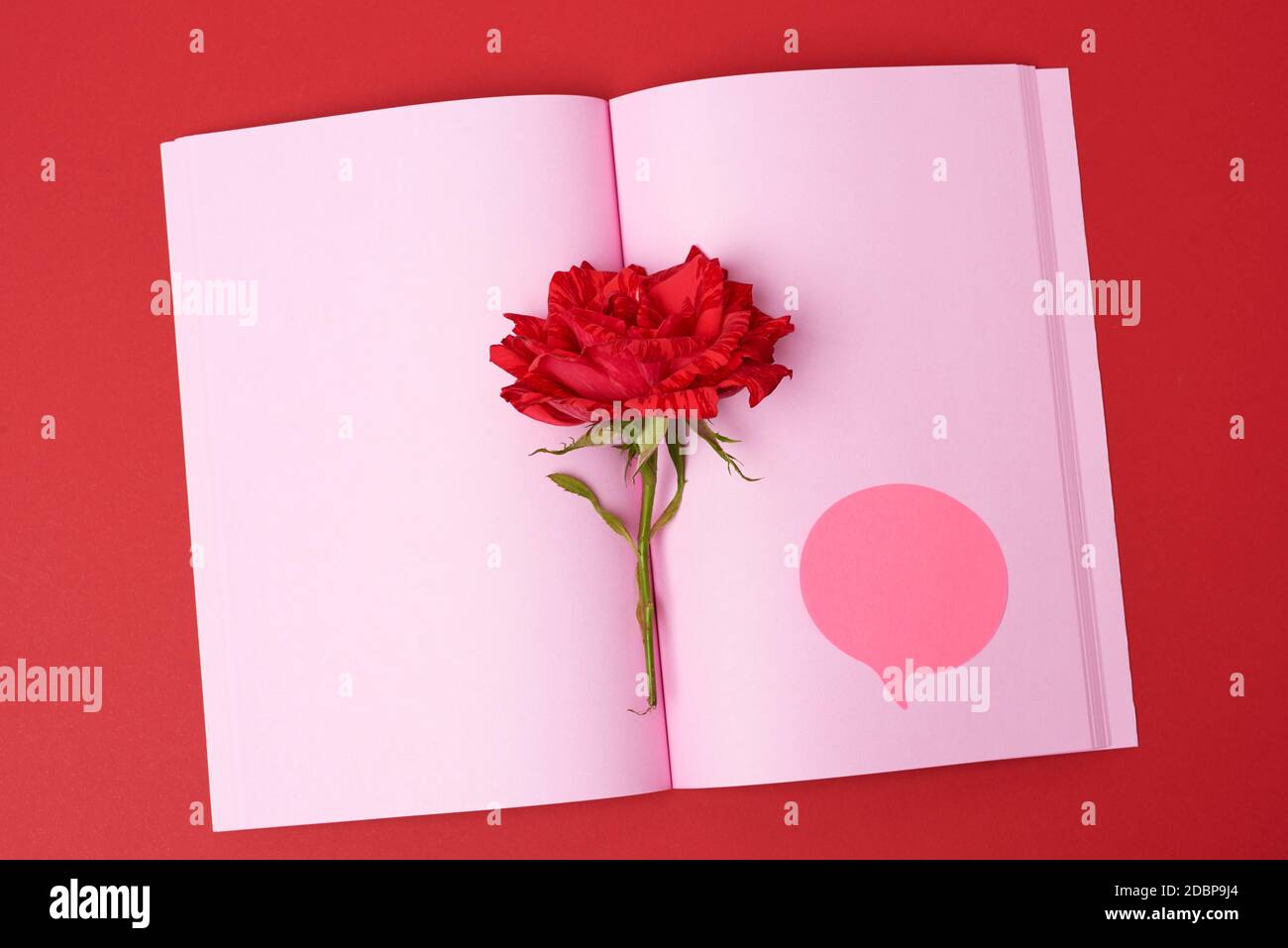 open notebook with pink blank sheets and red rose, top view, flat lay Stock Photo
