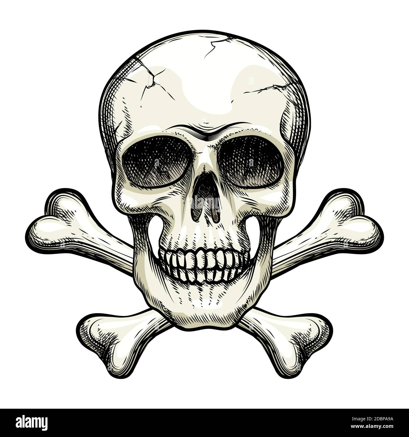 vector skull and crossbones on white background Stock Vector Image ...
